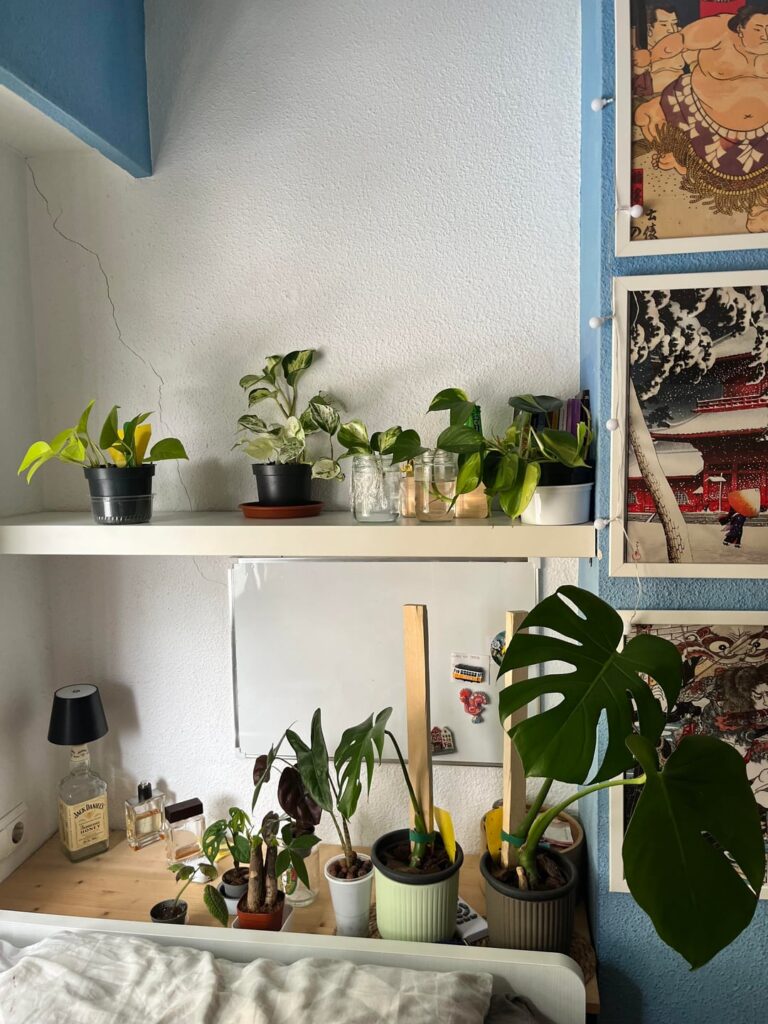 Indoor grow light setup help!