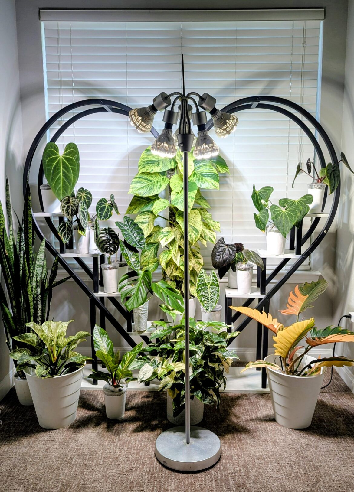 Bedroom zen