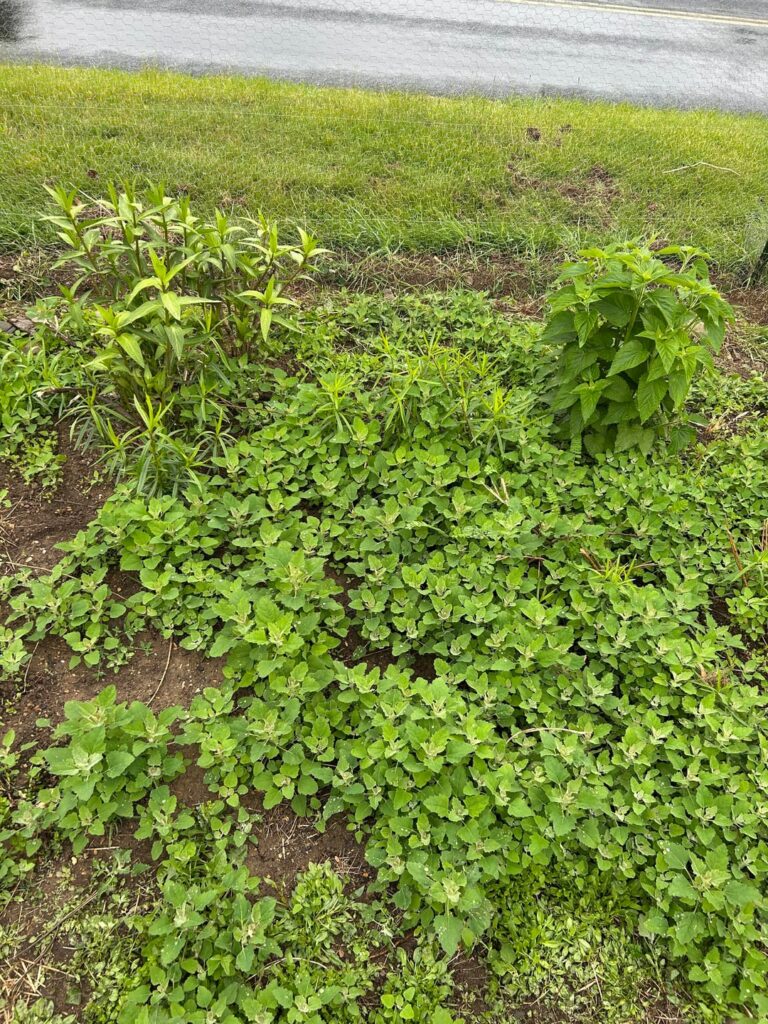Should I give up on this patch and start over? Should I give up on this patch and start over?