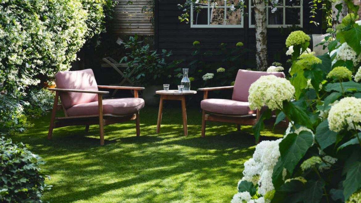 What to do with hydrangeas in May – 4 tasks for more blooms What to do with hydrangeas in May – 4 tasks for more blooms