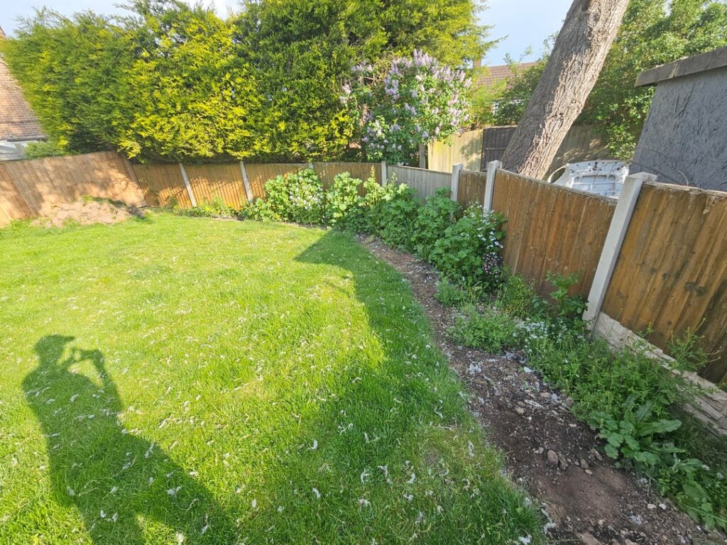Clueless gardener asking for advice Clueless gardener asking for advice