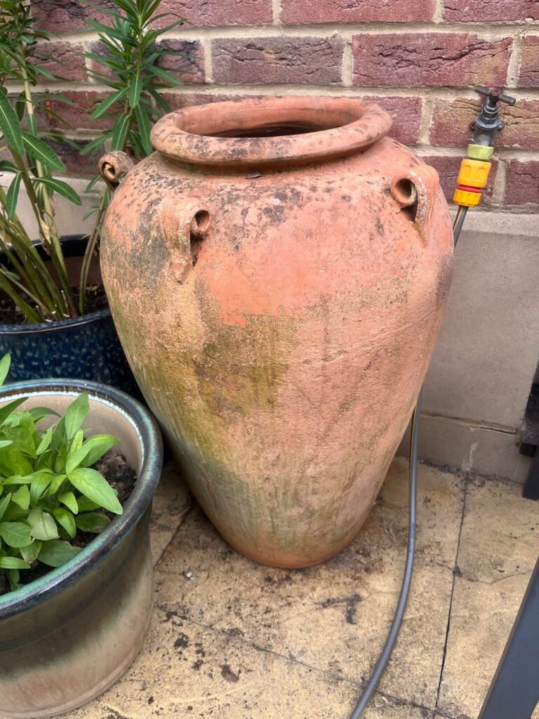What to plant in this vase/urn? What to plant in this vase/urn?
