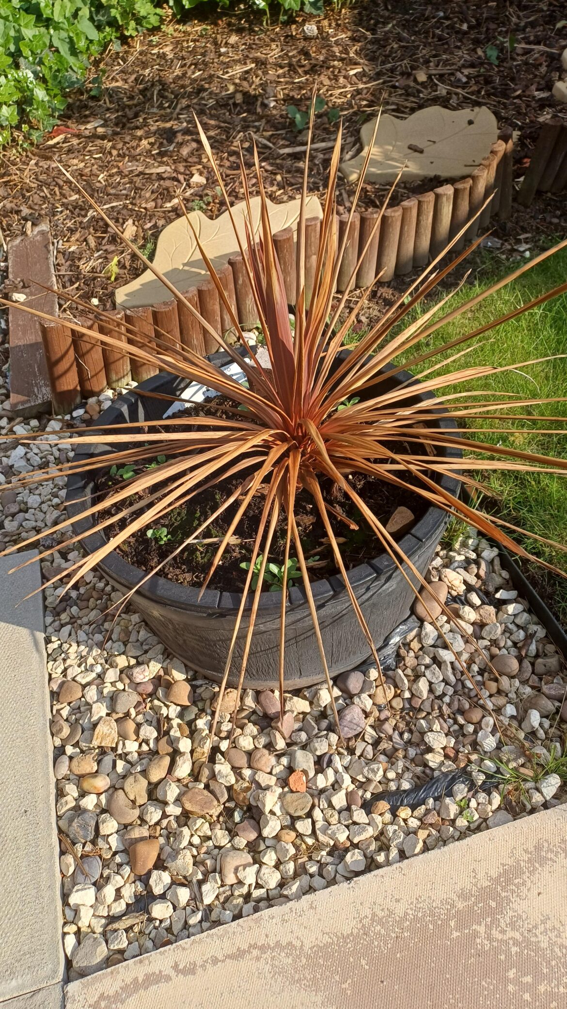 Is it dead.