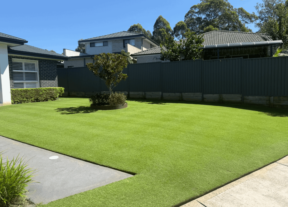 Help me find a suitable narrow screening plant to go along a colorbond fence Help me find a suitable narrow screening plant to go along a colorbond fence
