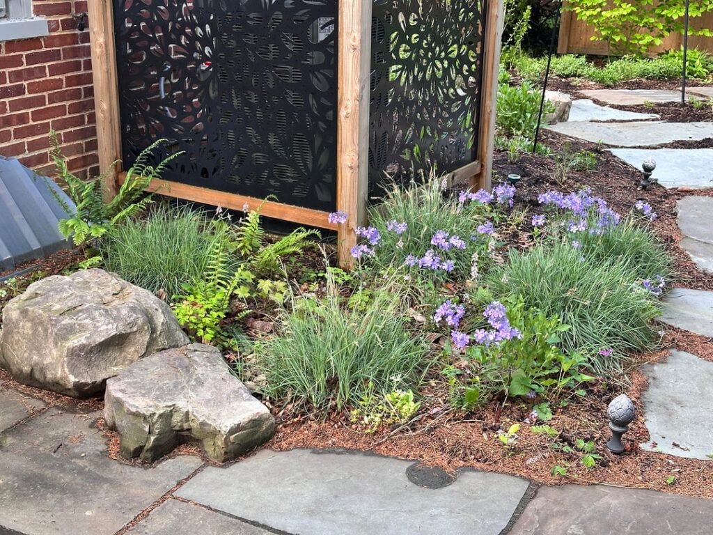 Shade Garden - 1 Year Later