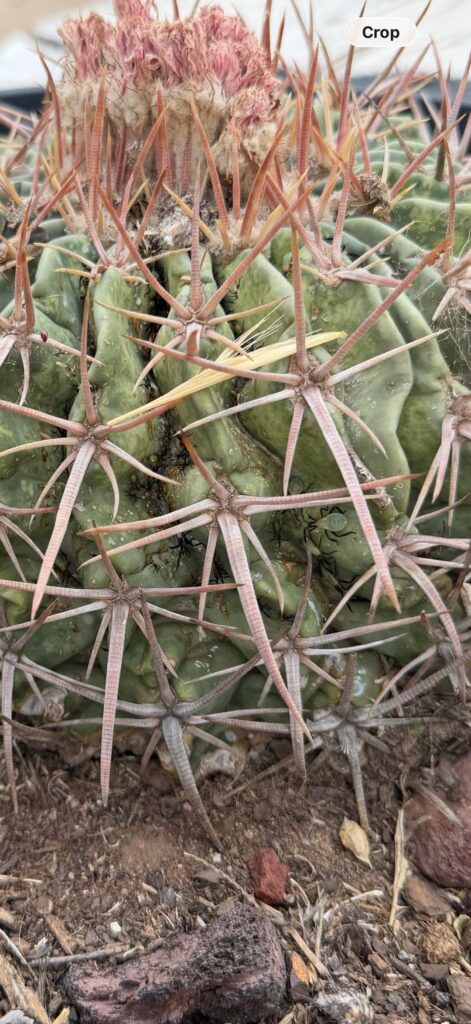 What are these and what do I do