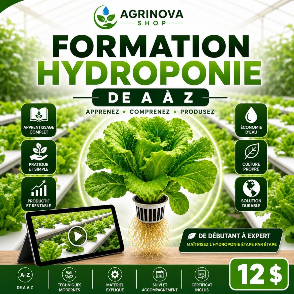 Formation en hydroponie