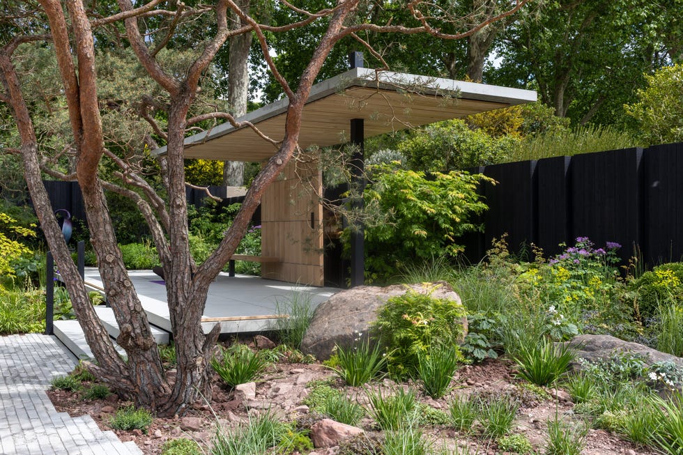 rhs chelsea flower show 2026 the asthma and lung uk breathing space garden