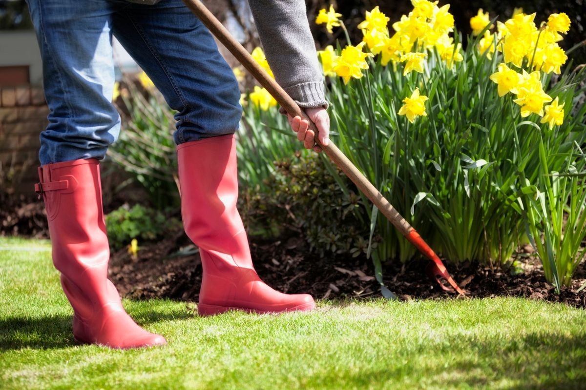 Person tends to a garden