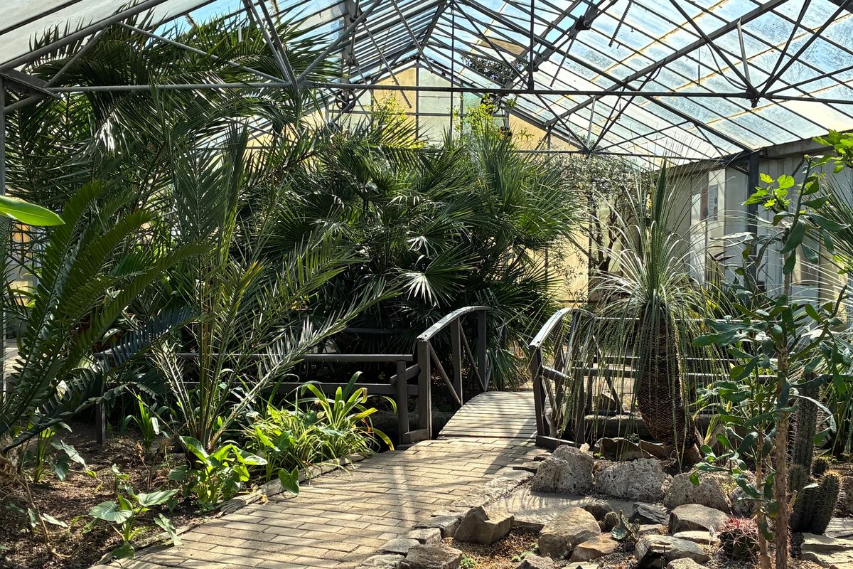 Wythenshawe Horticultural Centre is like Kew Gardens in miniature
