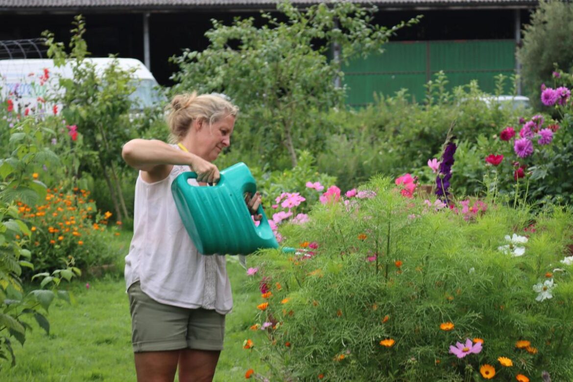Charity opens its gardens to the public for first time