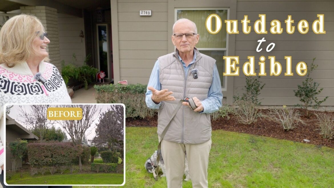 Using Edible Plants to Transform an Outdated Yard into an Edible Landscape (Before & After) Using Edible Plants to Transform an Outdated Yard into an Edible Landscape (Before & After)