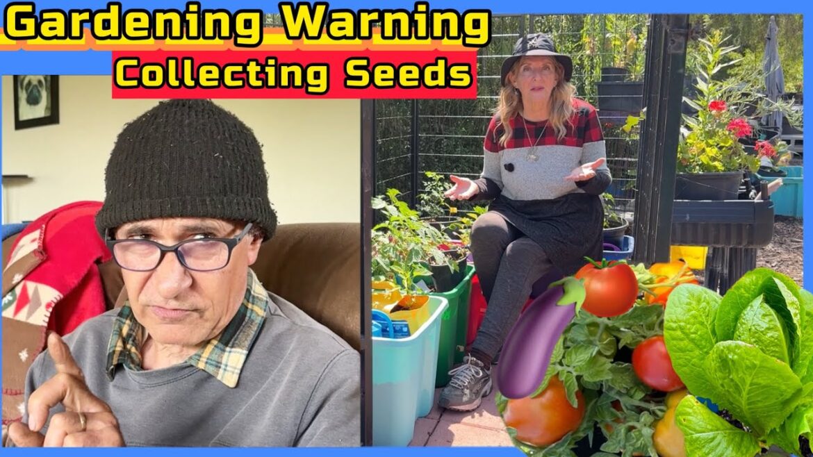 WARNING on Outdoor Plants for Home Garden on Buying Storing & Collecting Vegetable Seeds 🍅 Gardening