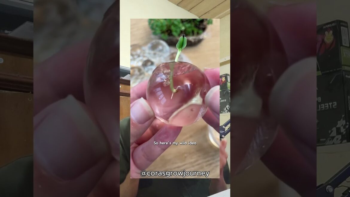 She Planted A Seed In PURE Jelly Beads 😳 She Planted A Seed In PURE Jelly Beads 😳