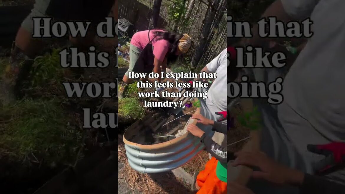 POV: Gardening Feels Easier Than Laundry ππ± POV: Gardening Feels Easier Than Laundry ππ±