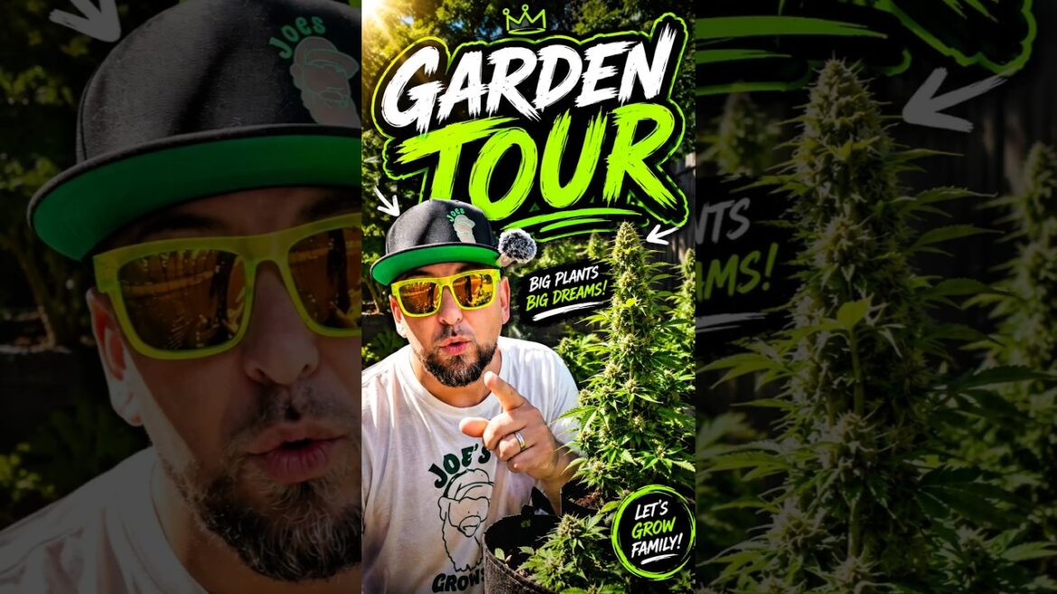 Garden Tour Update 🌳 The Monster Is Starting To Wake Up!