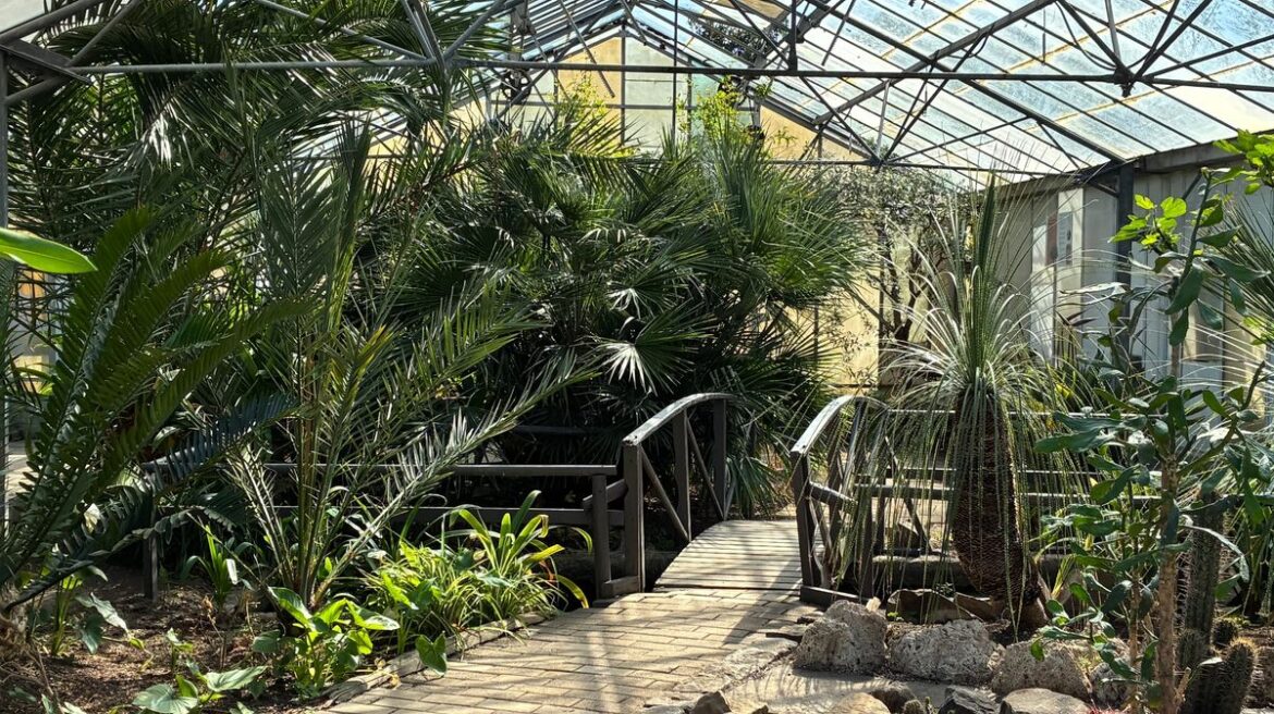Manchester has its very own Kew Gardens and I know where to find it Manchester Evening News