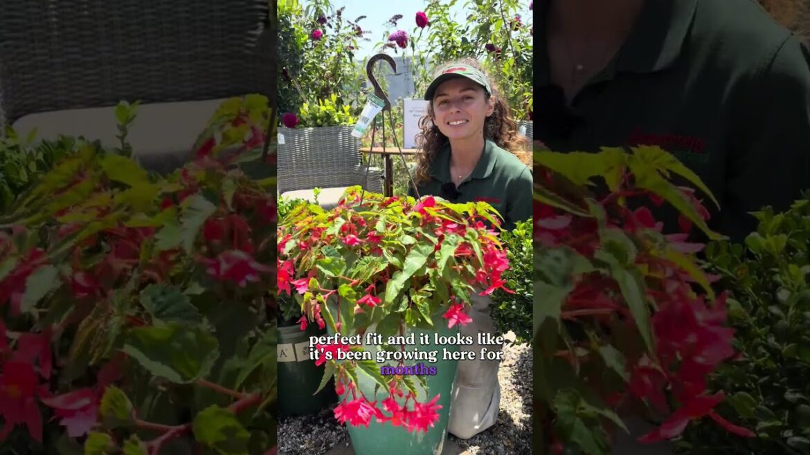 3 Genius Hanging Basket Hacks For Your Garden #diy 3 Genius Hanging Basket Hacks For Your Garden #diy