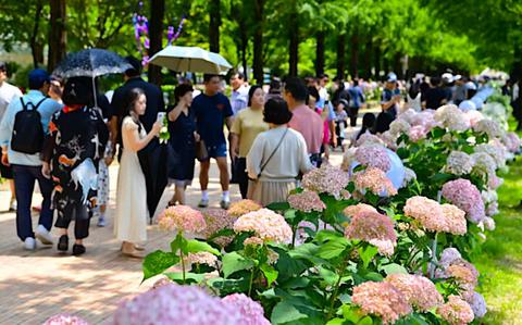 Jinju Garden Expo returns to Wola Mountain Forest Jun. 18–21 Jinju Garden Expo returns to Wola Mountain Forest Jun. 18–21