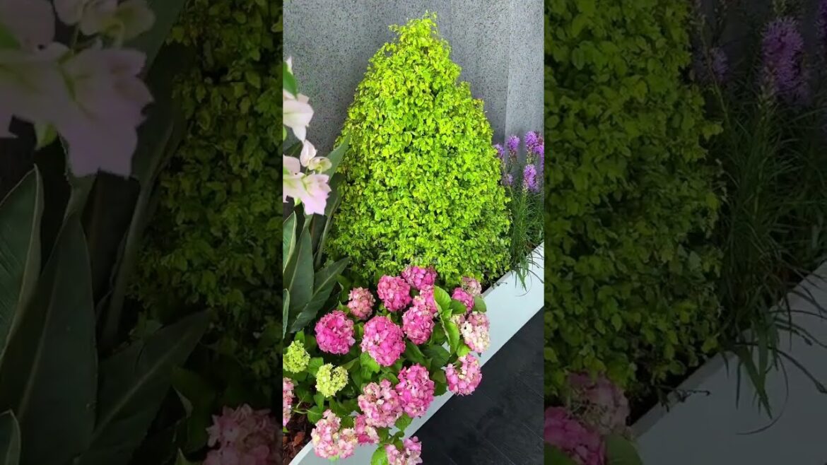 Transforming your balcony into a romantic garden #SpaceDesign #gardendesign #garden #plants Transforming your balcony into a romantic garden #SpaceDesign #gardendesign #garden #plants