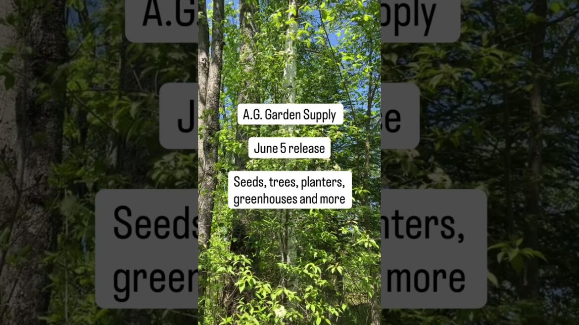 June 5 summer release #news #reading #gardening #plants #support