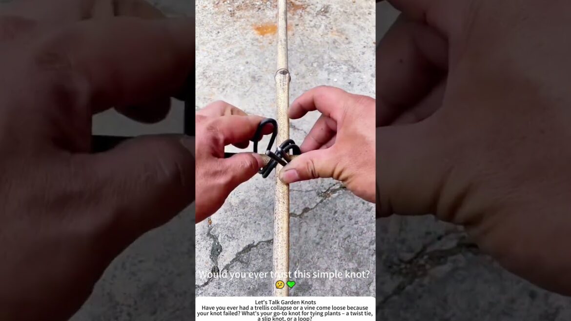 Tying the Perfect Garden Knot – Strong, Simple, and Secure 🌿 Tying the Perfect Garden Knot – Strong, Simple, and Secure 🌿