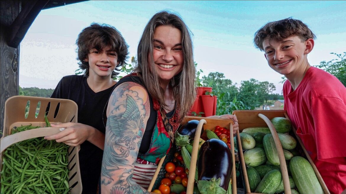 Roots and Refuge Farm: Harvesting 100 POUNDS of FOOD! Harvesting 100 POUNDS of FOOD!