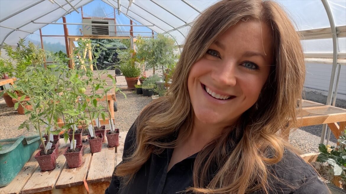 Garden Answer: Planting Perennials & Tomatoes in the Greenhouse + Garden Maintenance! 🌸🍅✂️ Planting Perennials & Tomatoes in the Greenhouse + Garden Maintenance! 🌸🍅✂️