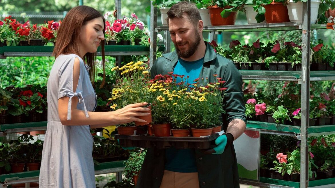 DIY and garden centre giant collapsed into administration owing with £803m Daily Mirror