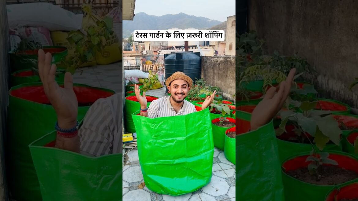 टेरस गार्डन के लिए ज़रूरी शॉपिंग 🤔 | Must Have Shopping for Terrace Garden #shorts #gardening टेरस गार्डन के लिए ज़रूरी शॉपिंग 🤔 | Must Have Shopping for Terrace Garden #shorts #gardening
