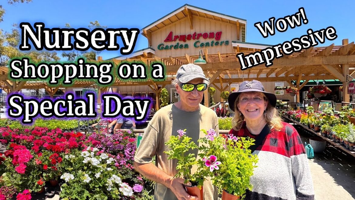 LARGE Garden Center Tour π» Armstrong Nursery FULL of Flowers Succulents Vegetable Plants Geraniums LARGE Garden Center Tour π» Armstrong Nursery FULL of Flowers Succulents Vegetable Plants Geraniums