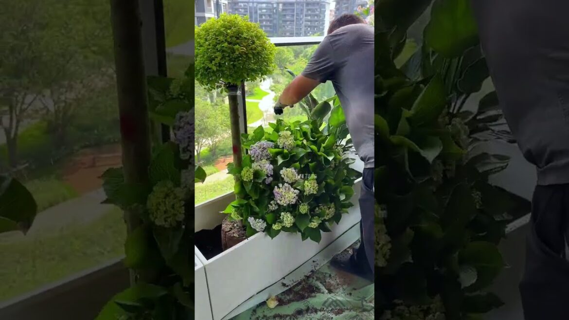 Create a garden corner on your balcony #SpaceDesign #gardendesign #garden #plants Create a garden corner on your balcony #SpaceDesign #gardendesign #garden #plants