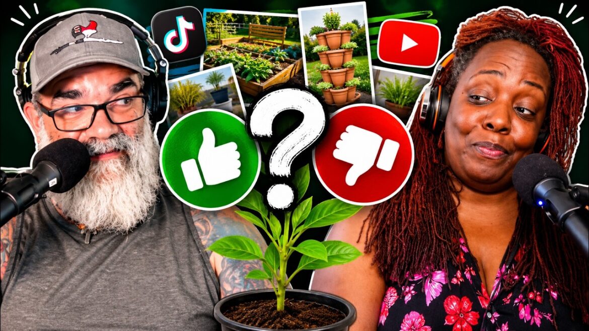 Viral garden trends are they hype or helpful Viral garden trends are they hype or helpful