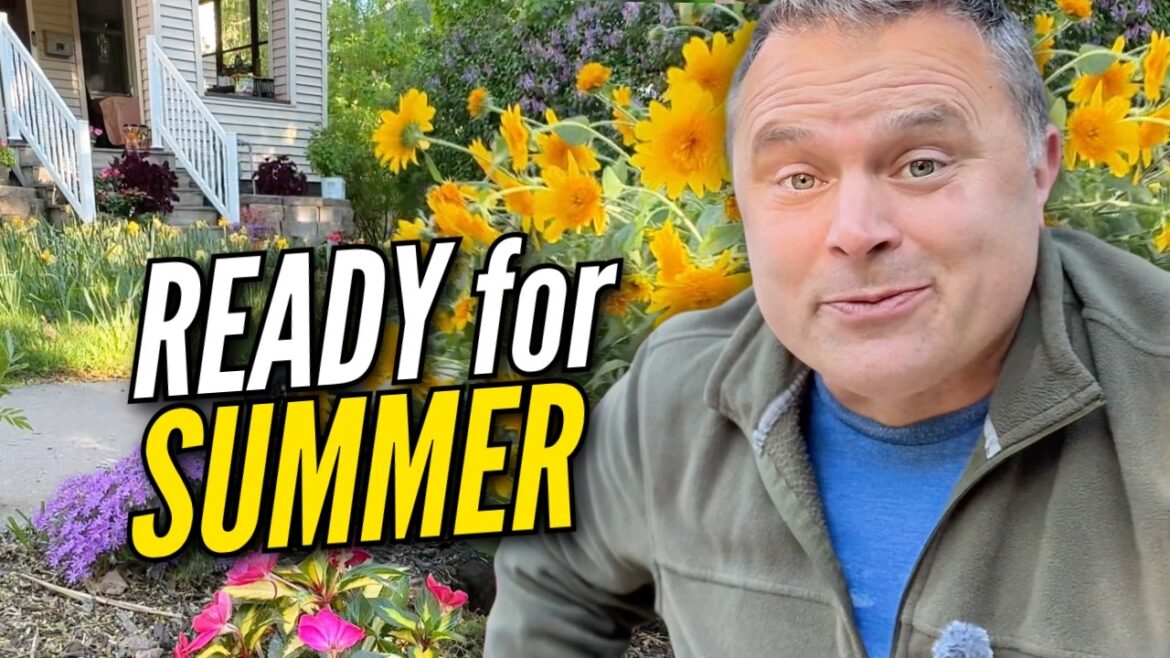 My Yard Is Finally Ready for Summer My Yard Is Finally Ready for Summer