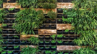 6 Reasons vertical gardens fail in summer and how to make yours more resilient in hot weather