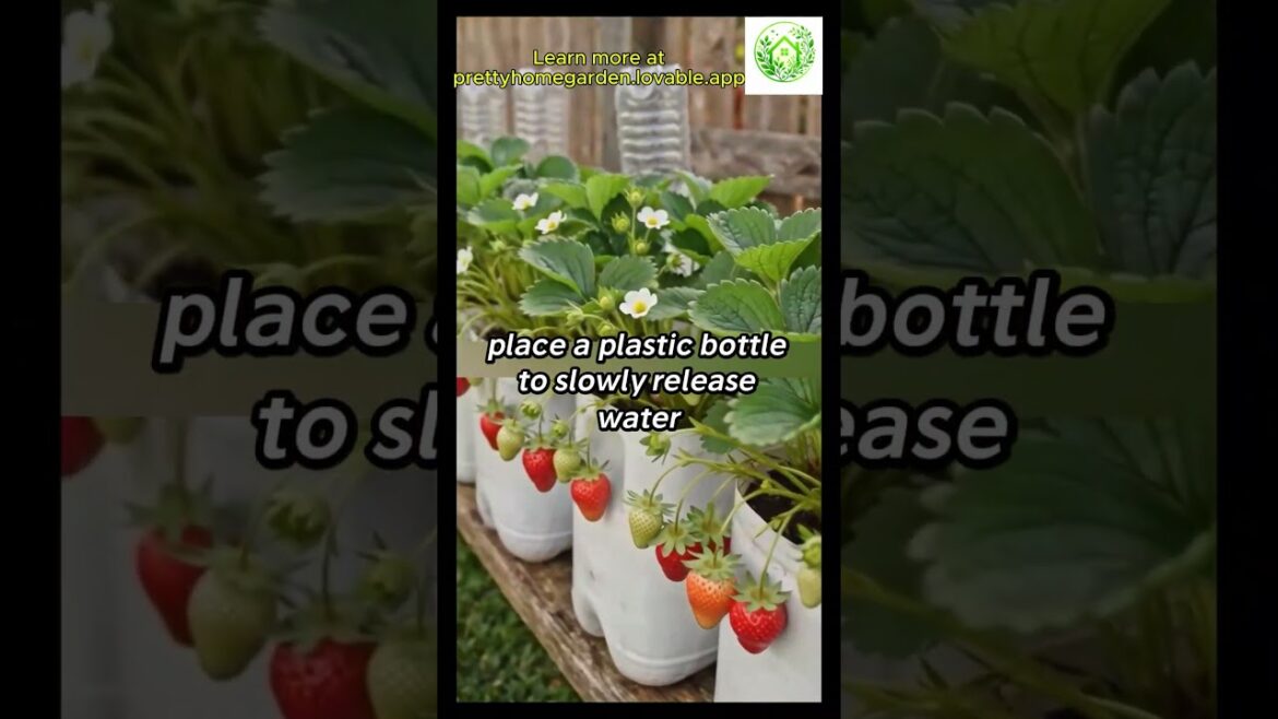 How To Make Automatic Watering With A Plastic Bottle #Garden How To Make Automatic Watering With A Plastic Bottle #Garden