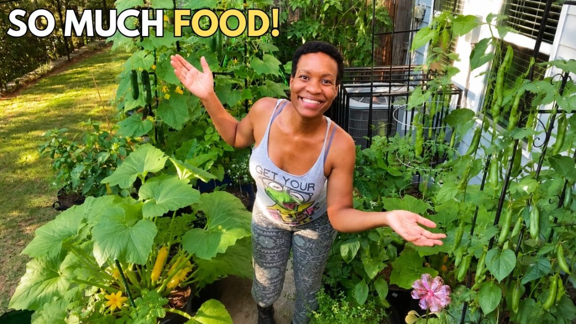 Garden Tour | This Tiny Patio Is Producing So Much Food (Urban Container Gardening) Garden Tour | This Tiny Patio Is Producing So Much Food (Urban Container Gardening)