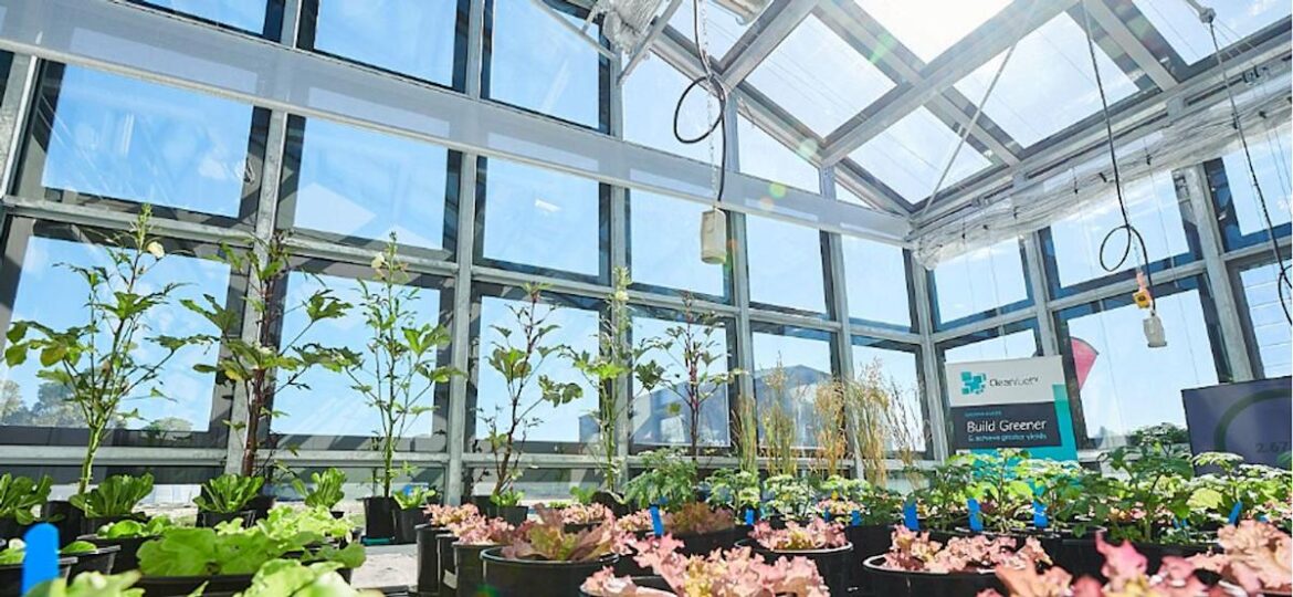 Caledonia to invest £60 million in garden centre operator Blue Diamond