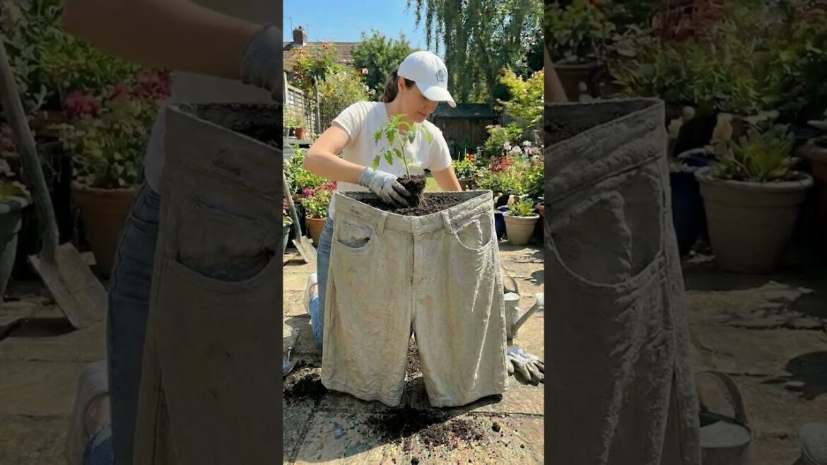 I Turned Old Denim Shorts Into a Concrete Planter | DIY Garden Ideas from Recycled Jeans I Turned Old Denim Shorts Into a Concrete Planter | DIY Garden Ideas from Recycled Jeans