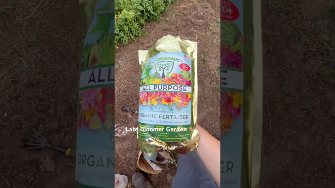Planting potatoes with #IVOrganic!