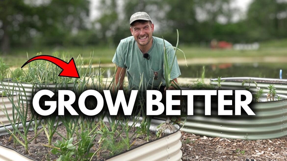 MIgardener: We Planted Garlic With THIS Crop and The Results Were CRAZY! We Planted Garlic With THIS Crop and The Results Were CRAZY!