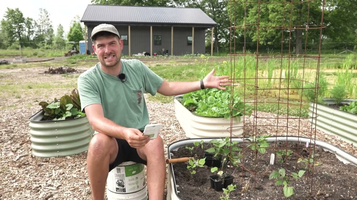 Survival Seed Vaults Are a JOKE ( Hot Takes From The Garden)