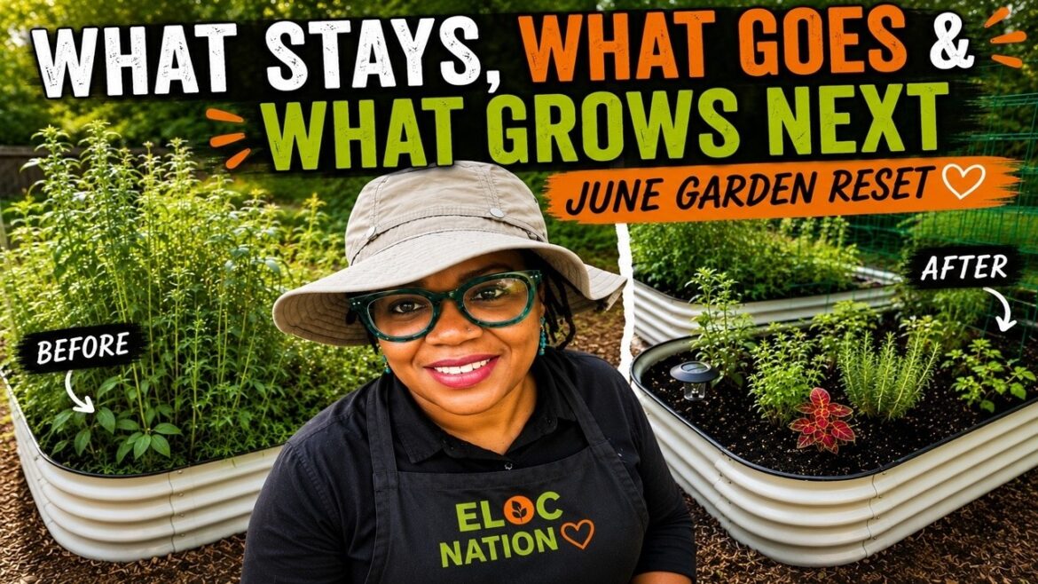 🌱 What Stays, What Goes & What Grows Next | June Garden Reset 🌱 What Stays, What Goes & What Grows Next | June Garden Reset