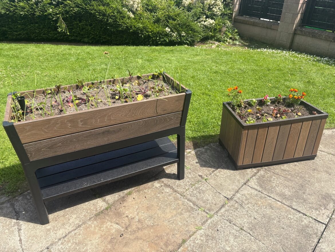 Craigmillar community garden receives £2.5k funding boost Craigmillar community garden receives £2.5k funding boost