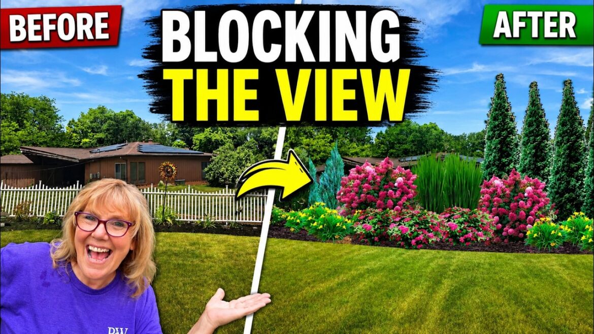 How to Block a Neighbor’s View With Plants | Front Yard Landscape Design How to Block a Neighbor's View With Plants | Front Yard Landscape Design