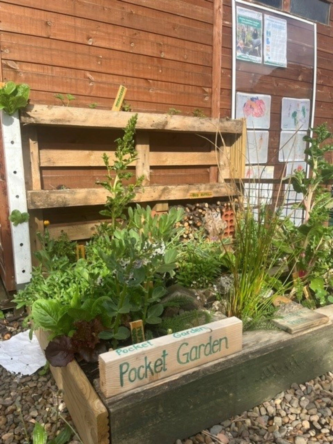 Stockbridge nursery wins prize for pocket garden design Stockbridge nursery wins prize for pocket garden design