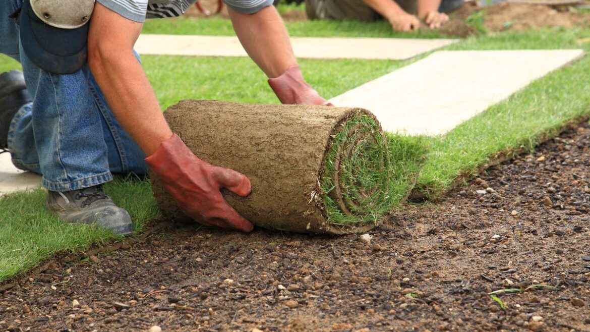 Warning issued to households with artificial grass amid extreme heatwave Manchester Evening News