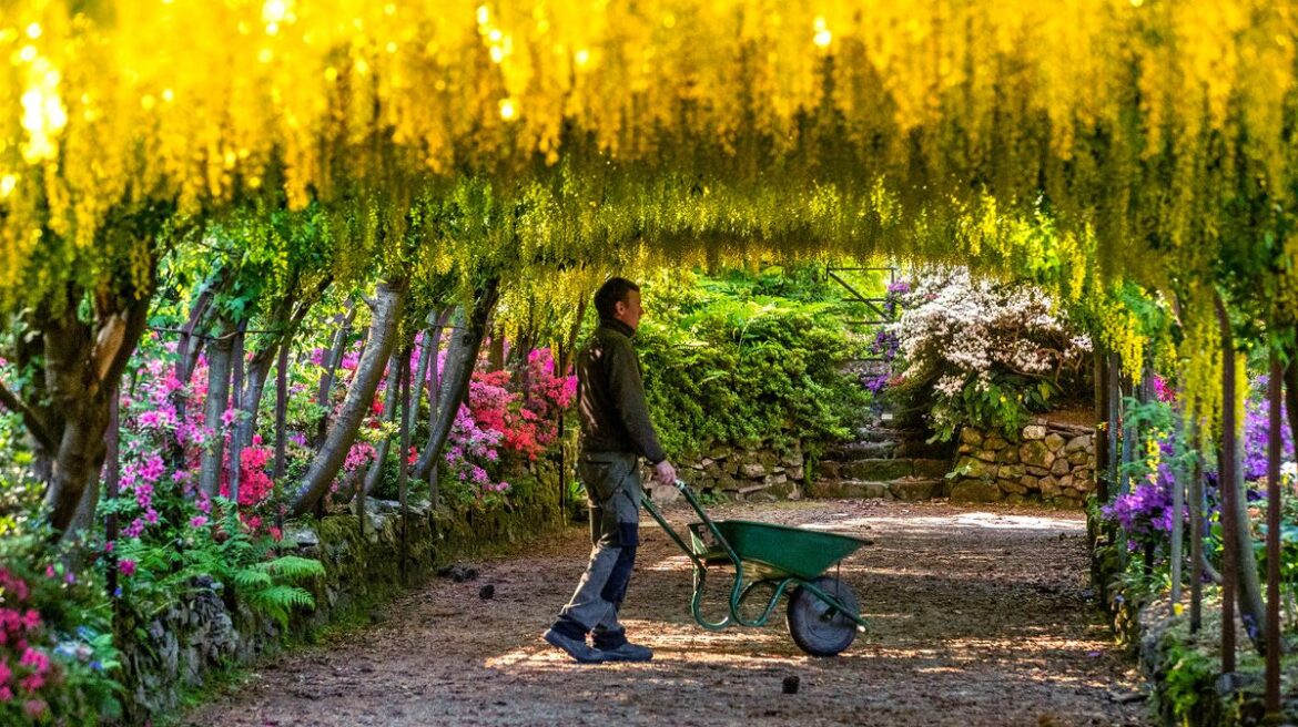 ‘Beautiful’ National Trust gardens in North Wales with gorgeous summer blooms North Wales Live