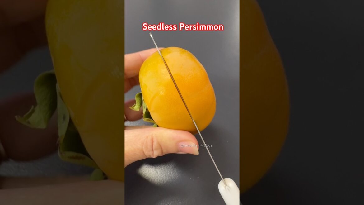 Fruit cutting Persimmon 😱 #shorts #satisfying #fruit #enjoy #garden Fruit cutting Persimmon 😱 #shorts #satisfying #fruit #enjoy #garden