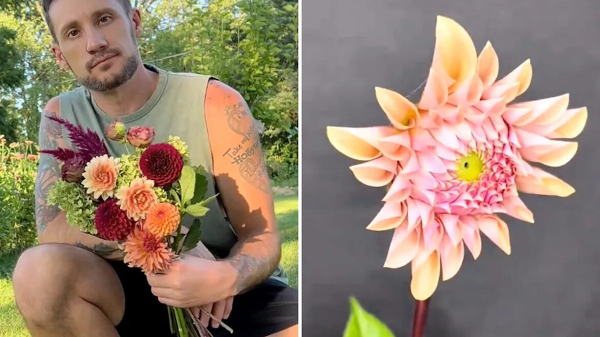 Home gardener films dahlias opening one by one, and the full-bloom payoff is mesmerizing Home gardener films dahlias opening one by one, and the full-bloom payoff is mesmerizing